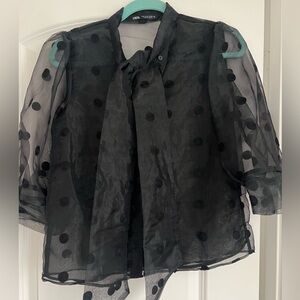 Zara Black Sheer Polka Dot Top